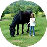 horseback riding review